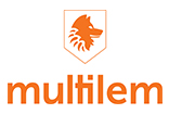 Multilem